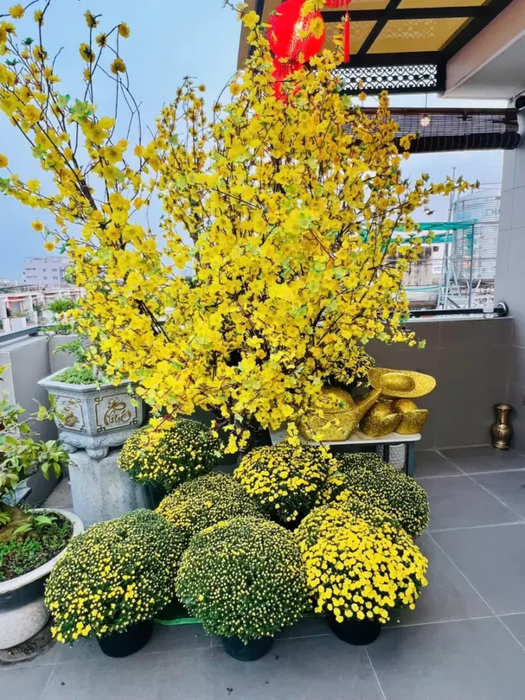 thuê mai đào khổng lồ Tết 2026 3–5m vận chuyển lắp đặt